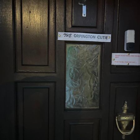 Wisdom Care: The Orpington Cutie Exterior foto