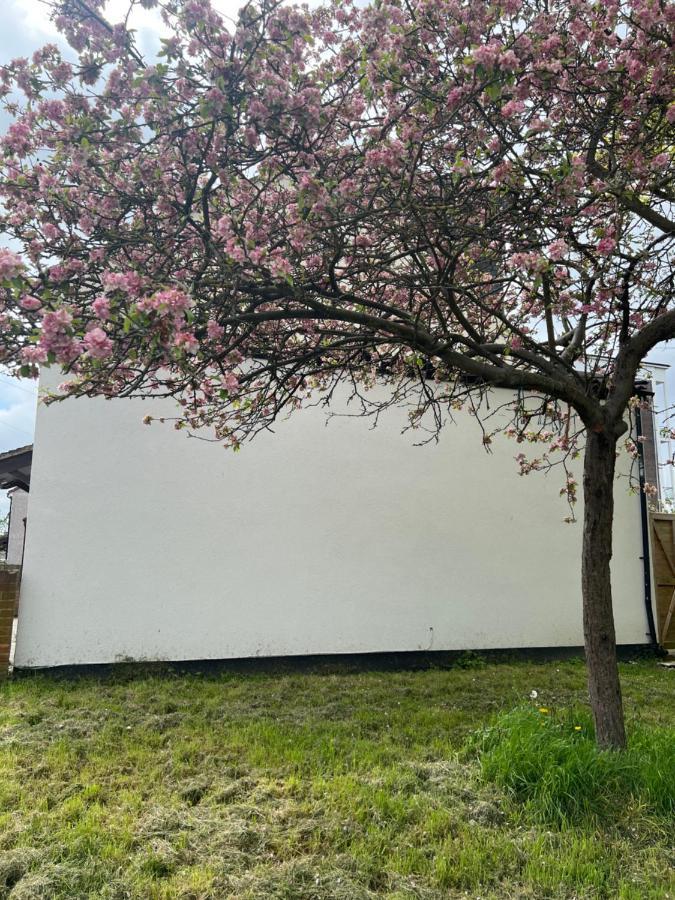 Wisdom Care: The Orpington Cutie Exterior foto